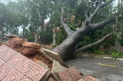 Siêu bão Champi giật cấp 17 chuyển hướng, các mô hình dự báo chưa thống nhất