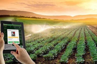 Chuyển đổi số ở hợp tác xã: Không chỉ dừng ở chiếc tem QR