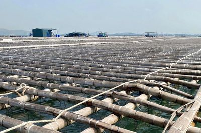 Quảng Ninh: 46 hợp tác xã thủy sản rơi vào thế khó vì nguy cơ bị thu hồi sơ đồ mặt biển