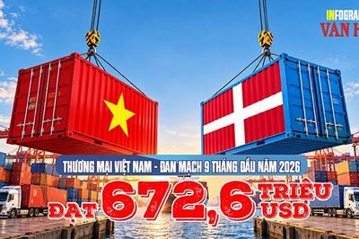 Thương mại Việt Nam - Đan Mạch đạt 672,6 triệu USD sau 9 tháng