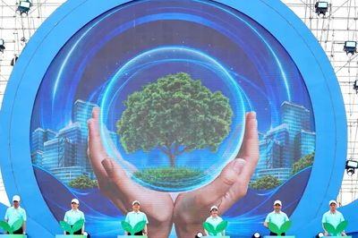 Bộ Chính trị ban hành chỉ thị về bảo đảm an ninh môi trường