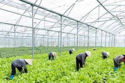 Bắc Ninh mở rộng ứng dụng khoa học, công nghệ trong sản xuất