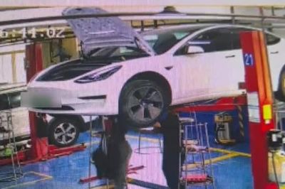 Thứ đáng sợ được phát hiện dưới gầm xe khiến thợ sửa kinh hãi