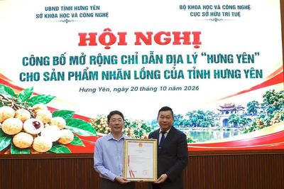 Mở rộng chỉ dẫn địa lý cho nhãn lồng Hưng Yên