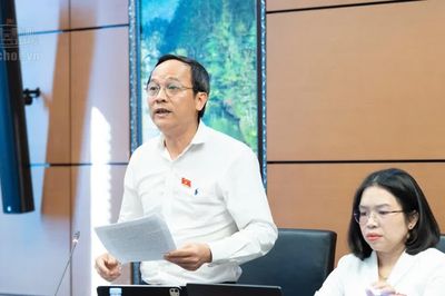 Đại biểu Quốc hội đề xuất giải thể Quỹ hỗ trợ phát triển du lịch