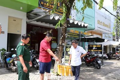 Tìm kiếm 360 liệt sĩ ở Tam Kỳ: Hé lộ những manh mối đầu tiên