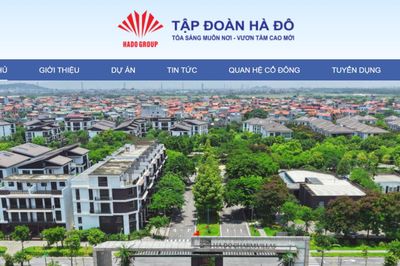 Tập đoàn Hà Đô phải nộp hơn 3 tỷ đồng do vi phạm về thuế