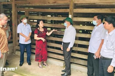 Phụ nữ làm nông nghiệp giỏi: Khi tình yêu quê hương hòa cùng tư duy hiện đại