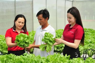 Đảng viên tham gia đầu tư kinh doanh: Từ thay đổi tư duy đến động lực bứt phá