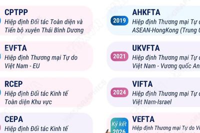 Các FTA Việt Nam tham gia tính đến tháng 10 năm 2026