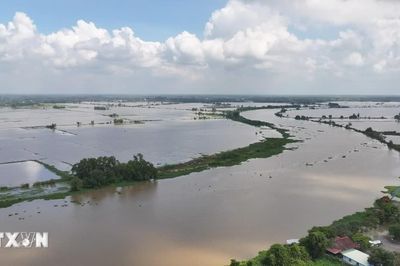 Cấp bách kiểm soát, ứng phó tình huống sạt lở khẩn cấp bờ sông Vàm Cỏ Tây