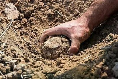 Phần Lan chuẩn bị một triệu quả mìn để phòng thủ biên giới với Nga