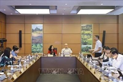 Quốc hội thảo luận ở tổ các dự án luật thuộc lĩnh vực tư pháp, kinh tế