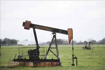 Giá dầu Brent tăng vượt mức 110 USD/thùng