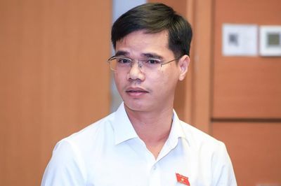 ĐBQH: Cải cách giá điện gắn với bảo đảm khả năng chi trả của người dân
