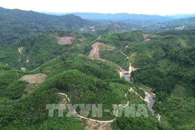 Đà Nẵng quy hoạch hai xã biên giới, thúc đẩy kinh tế xanh đến năm 2050