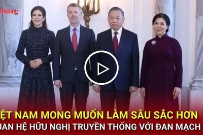 Việt Nam mong muốn làm sâu sắc hơn quan hệ hữu nghị truyền thống với Đan Mạch