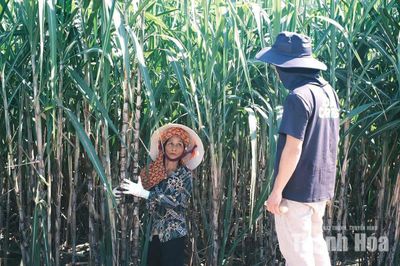 Cùng nông dân xây dựng sinh kế bền vững