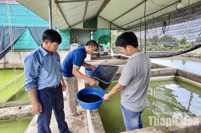 Tạo sinh kế bền vững từ mô hình kinh tế vườn, trang trại