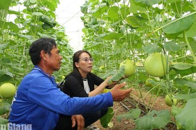 Châu Phong đưa chuyển đổi số đến gần dân