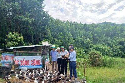 Nhân rộng các mô hình chăn nuôi an toàn sinh học