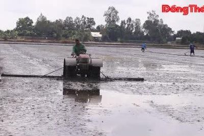 Nông dân Đồng Tháp tập trung xuống giống vụ lúa đông xuân