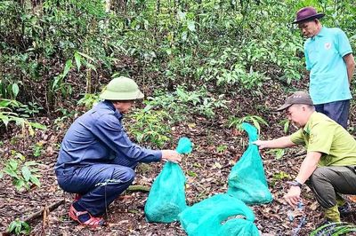 Kon Hà Nừng: Trồng gần 100.000 cây xanh, tái thả 639 cá thể động vật rừng về tự nhiên