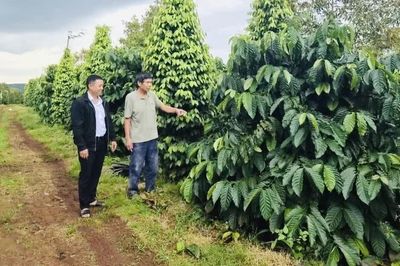 Phát huy nguồn vốn từ quỹ tín dụng nhân dân