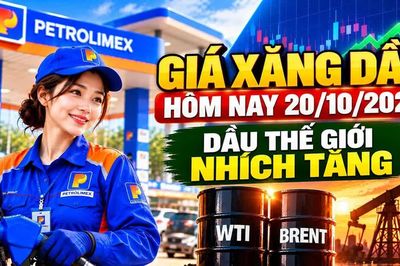 Giá xăng dầu hôm nay 20/10: Dầu thế giới tăng, áp lực giá trong nước còn lớn