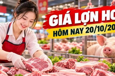 Giá lợn hơi hôm nay 20/10: Miền Bắc phổ biến 51.000 - 52.000 đồng/kg