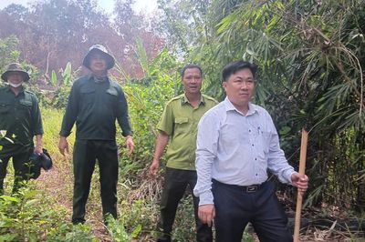 Giữ rừng gắn với sinh kế bền vững
