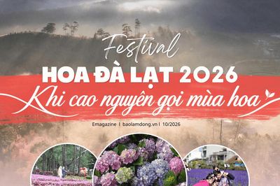Festival Hoa Đà Lạt 2026: Khi cao nguyên gọi mùa hoa