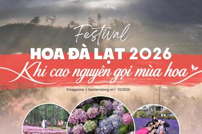 Festival Hoa Đà Lạt 2026: Khi cao nguyên gọi mùa hoa