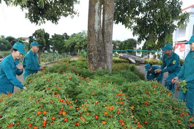 Nam Ban Lâm Hà chung tay chỉnh trang cảnh quan đón ngày hội lớn