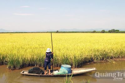 Hướng đến nông nghiệp bền vững