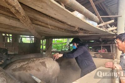 Khẩn trương tiêm phòng cho đàn vật nuôi