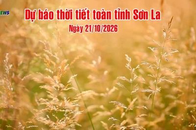 Dự báo thời tiết toàn tỉnh Sơn La ngày 21/10/2026