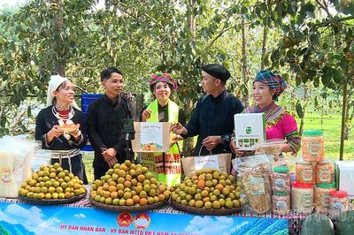Phụ nữ Tuyên Quang tự tin trong thời đại số
