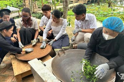 Đưa trà Việt từ di sản đến giá trị mới
