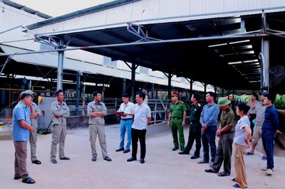 Quảng Trị: Trang trại gà vẫn gây mùi hôi, yêu cầu khắc phục trước 23/10