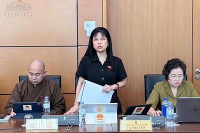 Tính giá điện theo giờ, ĐBQH cho rằng 'rất khó đợi hết giờ cao điểm mới nấu cơm, học bài'