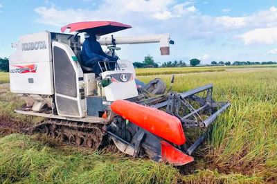 6 xã ở Hưng Yên hướng đến hoàn thành tiêu chí xã nông thôn mới hiện đại trước năm 2050