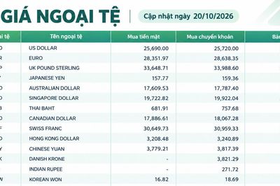 Tỷ giá ngoại tệ ngày 20/10: USD đi ngang, Euro gần 29.850 đồng, franc Thụy Sĩ vượt 31.500 đồng