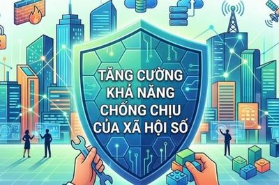Tăng cường khả năng chống chịu của xã hội số