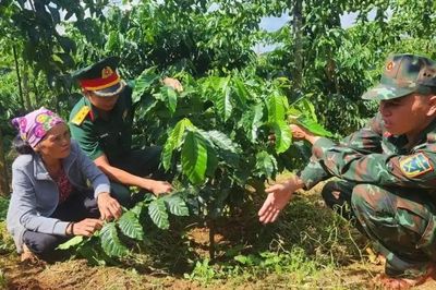 Đắk Lắk phát triển vùng cà phê hữu cơ theo tiêu chuẩn Mỹ và châu Âu hướng đến xuất khẩu