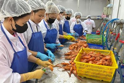 Cà Mau làm gì để tăng trưởng hai con số trong quý cuối năm?