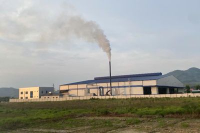 Doanh nghiệp sản xuất viên nén gỗ bị phạt 180 triệu đồng vì vi phạm môi trường