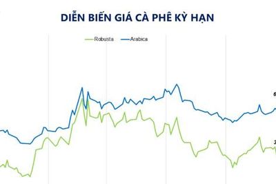 Giá cà phê tăng mạnh do lo ngại rủi ro thời tiết