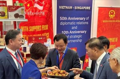 Thương mại Việt Nam - Singapore lập kỷ lục mới