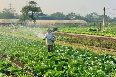 Tiểu thương chợ truyền thống Hà Nội lên sàn, có mã định danh, được Thành phố bảo trợ